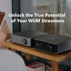 WiiM Vibelink Amp stereoförstärkare med DAC, Space Gray