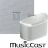 Yamaha MusicCast Duo Vit